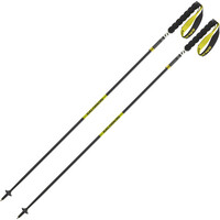 Salomon Baston Trail POLES ULTRA CARBON FOLDBLE vista frontal