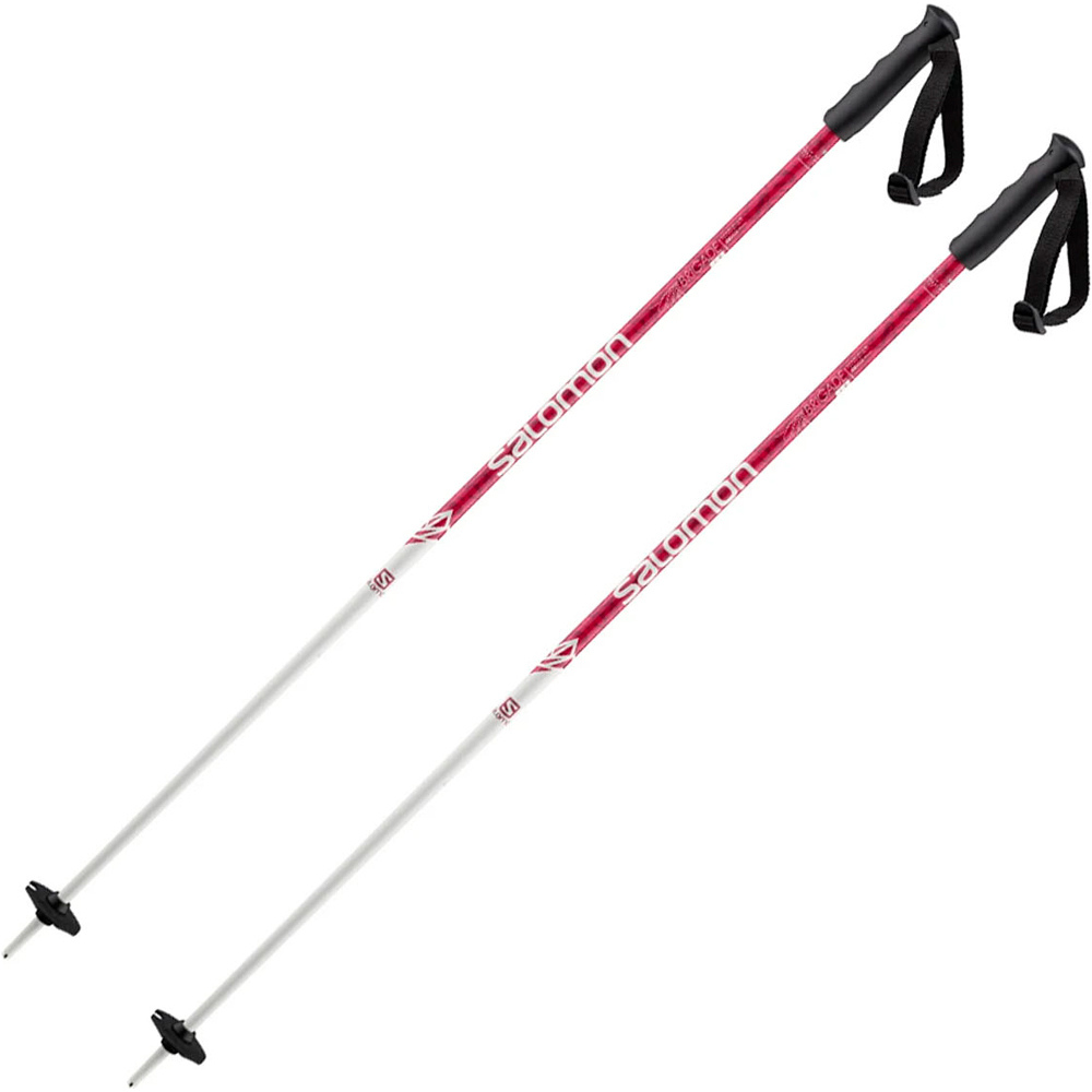 Salomon bastones esquí infantil POLES BRIGADE JR vista frontal