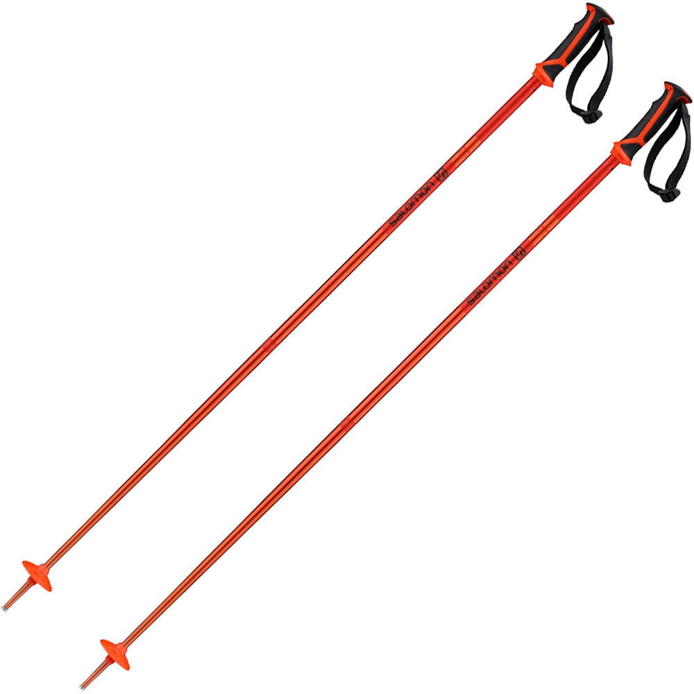 Salomon bastones esquí POLES ARCTIC vista frontal
