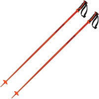 Salomon bastones esquí POLES ARCTIC vista frontal