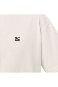 Salomon camiseta montaña manga corta hombre ROUND LOGO GRAPHIC vista detalle