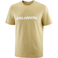 SALOMON LOGO