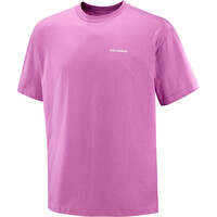 Salomon camiseta montaña manga corta hombre WILD RAYS SS TEE M 03