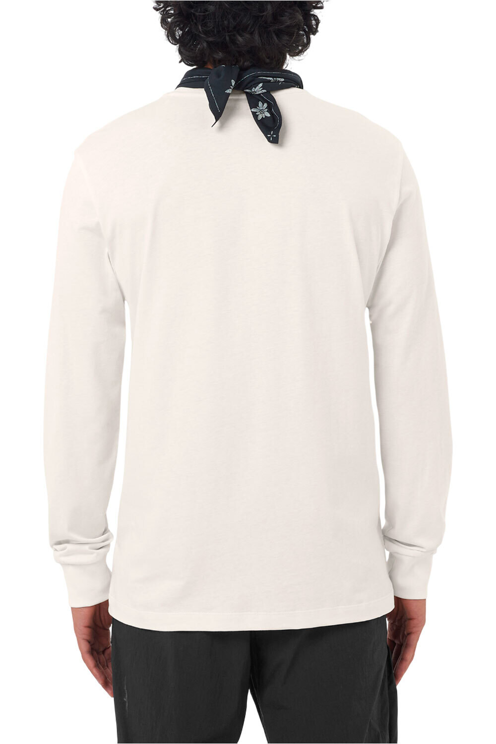 Salomon camiseta montaña manga larga hombre CHEST LOGO LS TEE M vista trasera