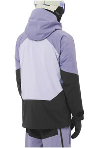 Salomon chaqueta esquí hombre MOON PATROL GTX JKT M vista trasera