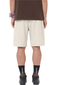 Salomon pantalón corto montaña hombre WAYFARER EASE 2.0 SHRT M vista trasera