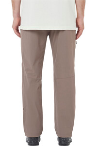 Salomon pantalón montaña hombre WAYFARER PANTS 2.0 M vista trasera