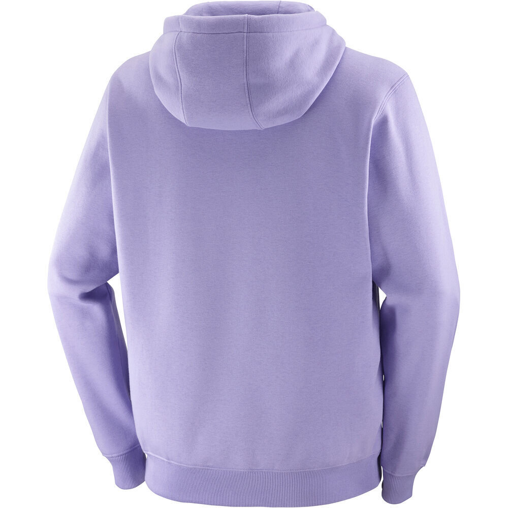 Salomon Sudaderas Montaña Hombre CANOPY HOODIE M 04