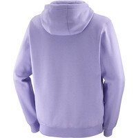 Salomon Sudaderas Montaña Hombre CANOPY HOODIE M 04