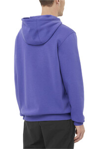 Salomon Sudaderas Montaña Hombre FREESTYLE HOODIE vista trasera