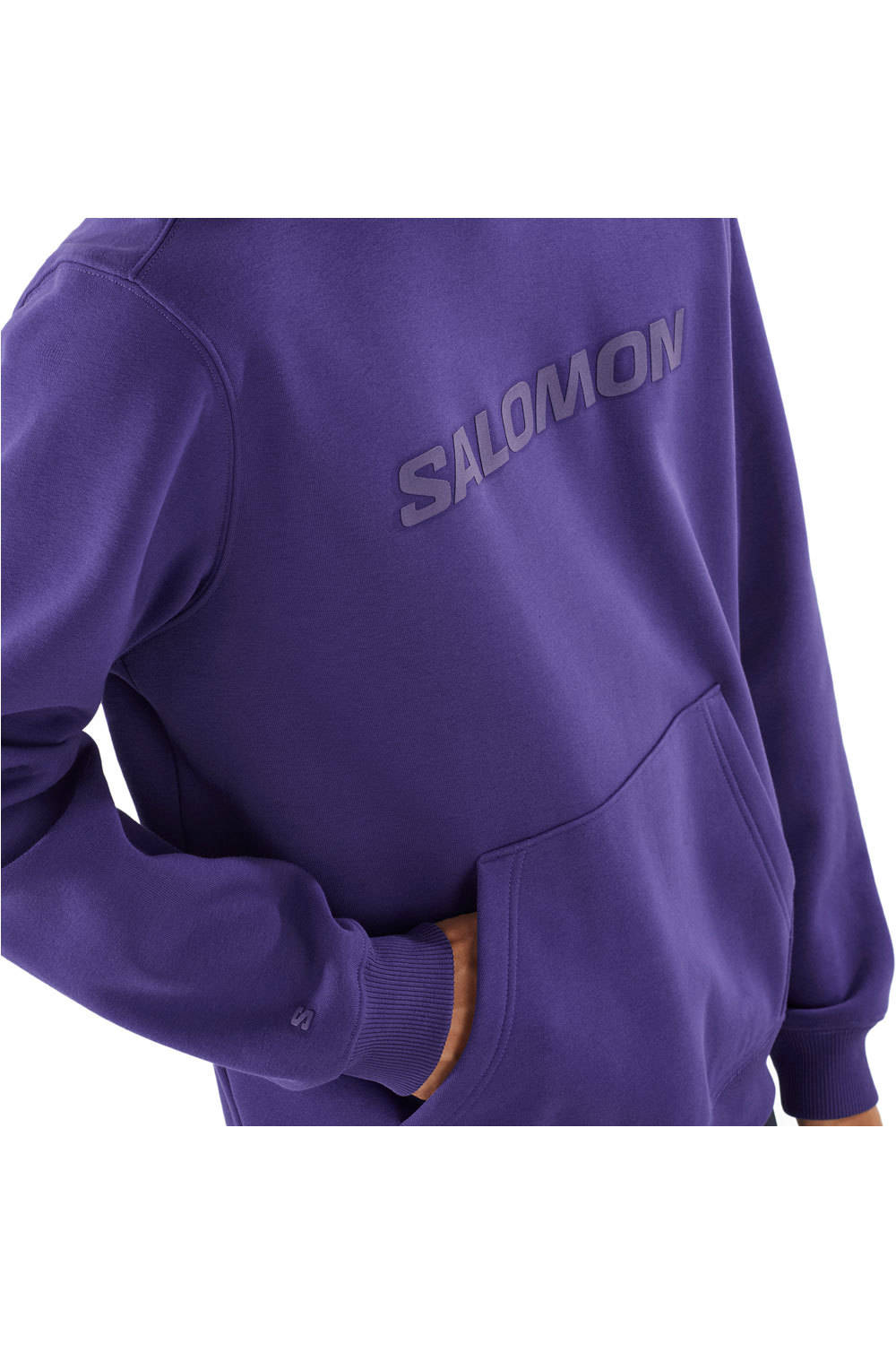 Salomon Sudaderas Montaña Hombre SALOMON BIG LOGO HOODIE M vista detalle