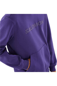Salomon Sudaderas Montaña Hombre SALOMON BIG LOGO HOODIE M vista detalle