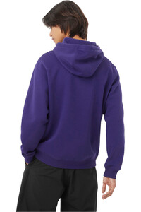 Salomon Sudaderas Montaña Hombre SALOMON BIG LOGO HOODIE M vista trasera
