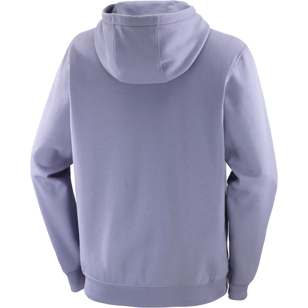 Salomon Sudaderas Montaña Hombre SALOMON LOGO HOODIE M 03