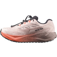 Salomon zapatilla running mujer AERO BLAZE 4 GRVL GTX W puntera