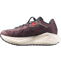 Salomon zapatilla running mujer AERO GLIDE 4 GRVL W puntera