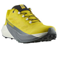 Salomon zapatillas trail hombre PULSAR lateral interior