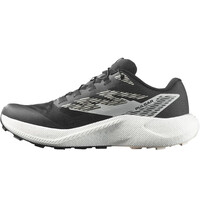 Salomon zapatillas trail hombre PULSAR puntera