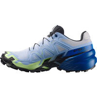 Salomon zapatillas trail hombre SPEEDCROSS 6 GTX ICON puntera