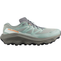 ULTRA FLOW 2 GTX