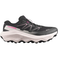 ULTRA FLOW 2 GTX W