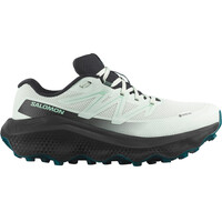 ULTRA FLOW 2 GTX W