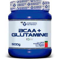 Scientiffic Nutrition Aminoacidos BCAA + Glutamine Kyowa Sanda 500g vista frontal