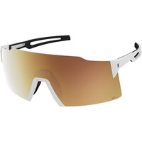 GAFAS DE SOL STRIDE LS
