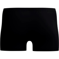 Speedo bañador natación hombre Medley Logo Aquashort 04