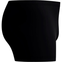 Speedo bañador natación hombre Medley Logo Aquashort 06