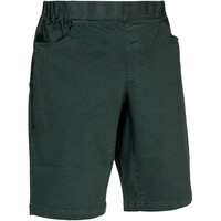 Ternua bermudas hombre HONKY MIX BMD M vista frontal