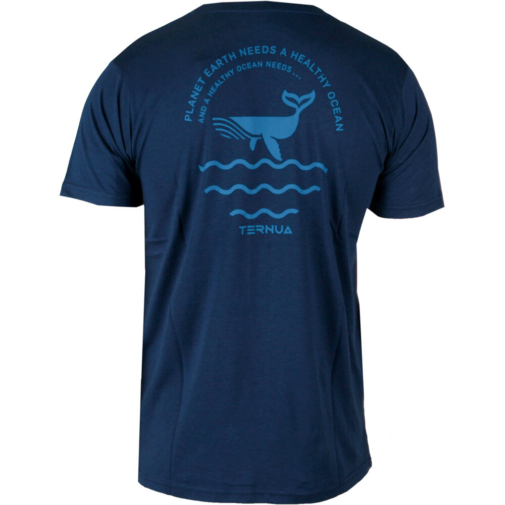 Ternua camiseta montaña manga corta hombre _3_ASKILL FMS AZ vista trasera