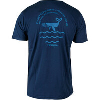Ternua camiseta montaña manga corta hombre _3_ASKILL FMS AZ vista trasera