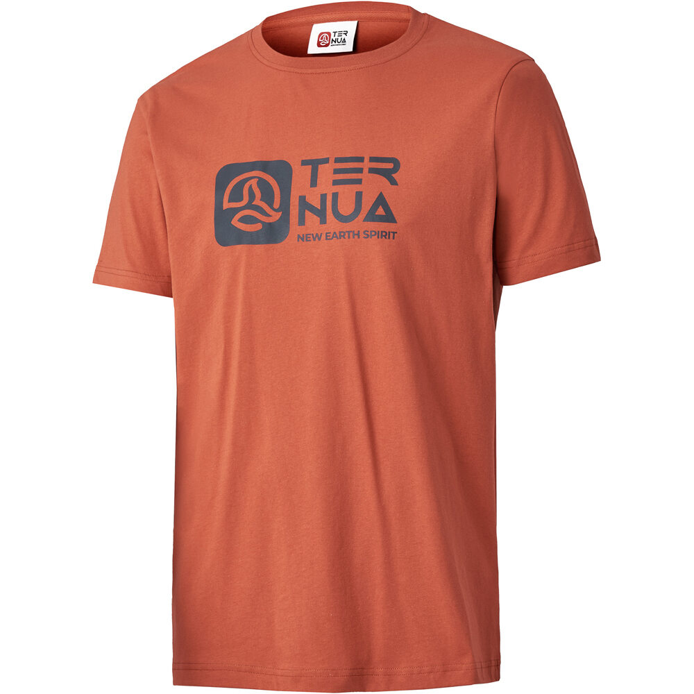 Ternua camiseta montaña manga corta hombre AILIK T M vista frontal