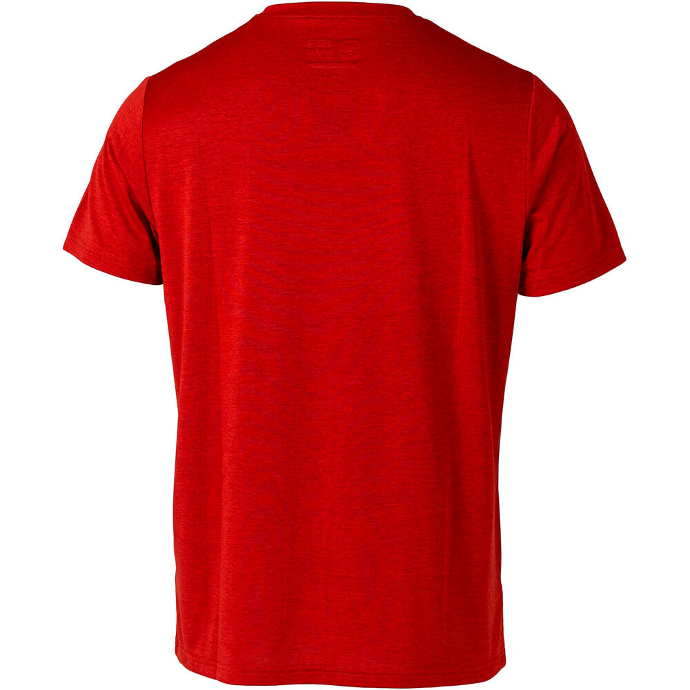 Ternua camiseta montaña manga corta hombre ANNING T M vista trasera