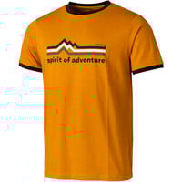 APUT REGENERATIVE T M