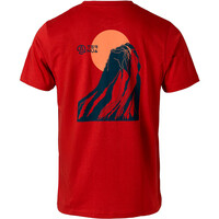 Ternua camiseta montaña manga corta hombre INIK REGENERATIVE T M vista trasera