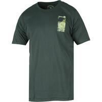PITCH REGENERATIVE T M