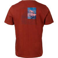 Ternua camiseta montaña manga corta hombre PITCH REGENERATIVE T M vista trasera