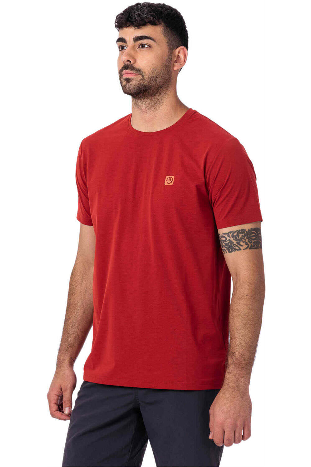 Ternua camiseta montaña manga corta hombre SHOAL T M vista frontal