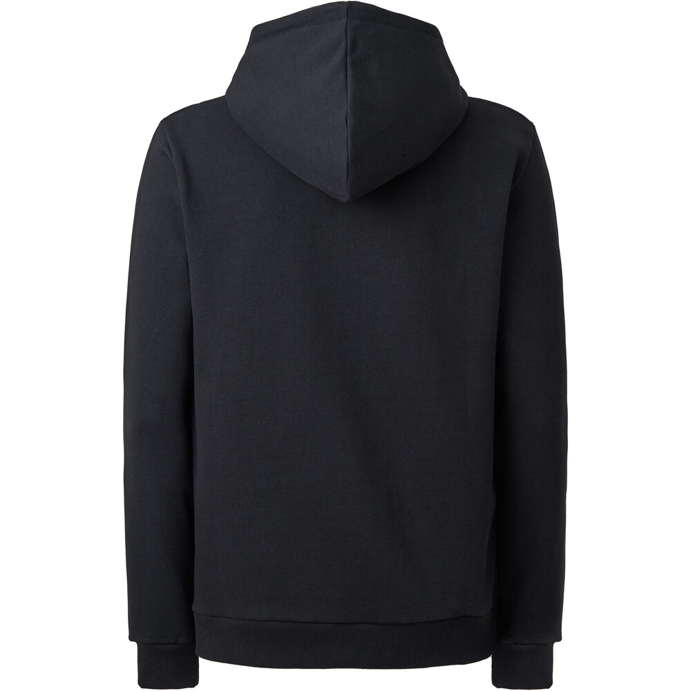 Ternua Sudaderas Montaña Hombre AILIK HOODY M vista trasera