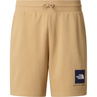 The North Face bermudas hombre M BOX NSE LIGHT REGULAR SHORTS vista detalle