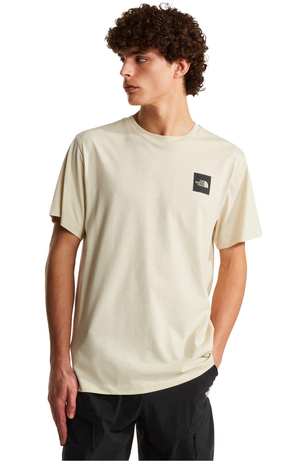 The North Face camiseta manga corta hombre M EVOLUTION BOX HALF DOME vista frontal