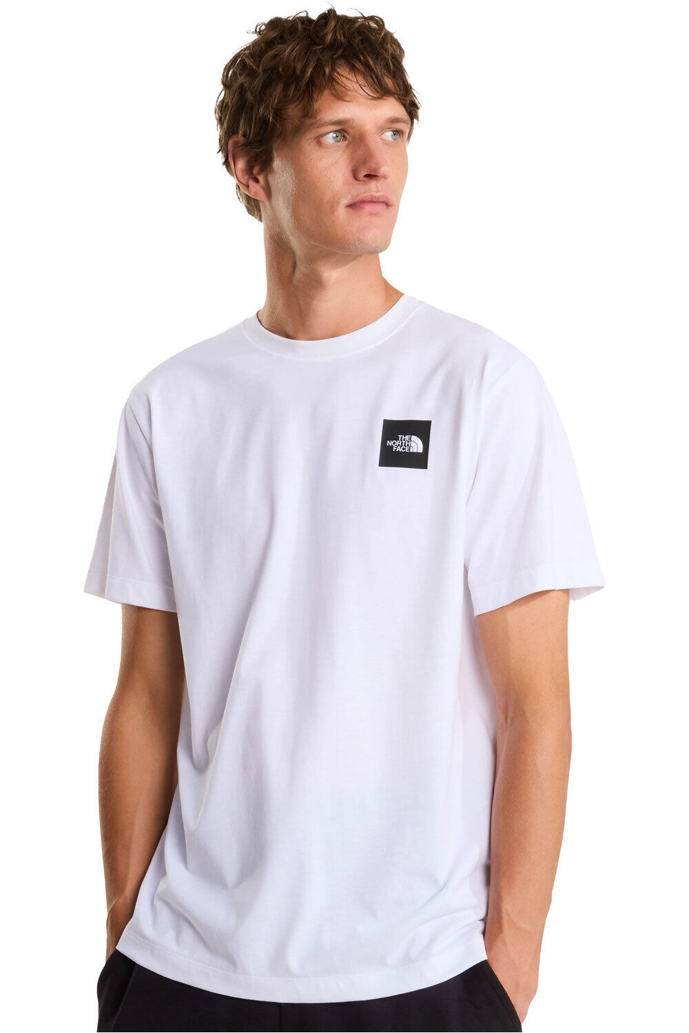 The North Face camiseta manga corta hombre M EVOLUTION BOX HALF DOME vista frontal