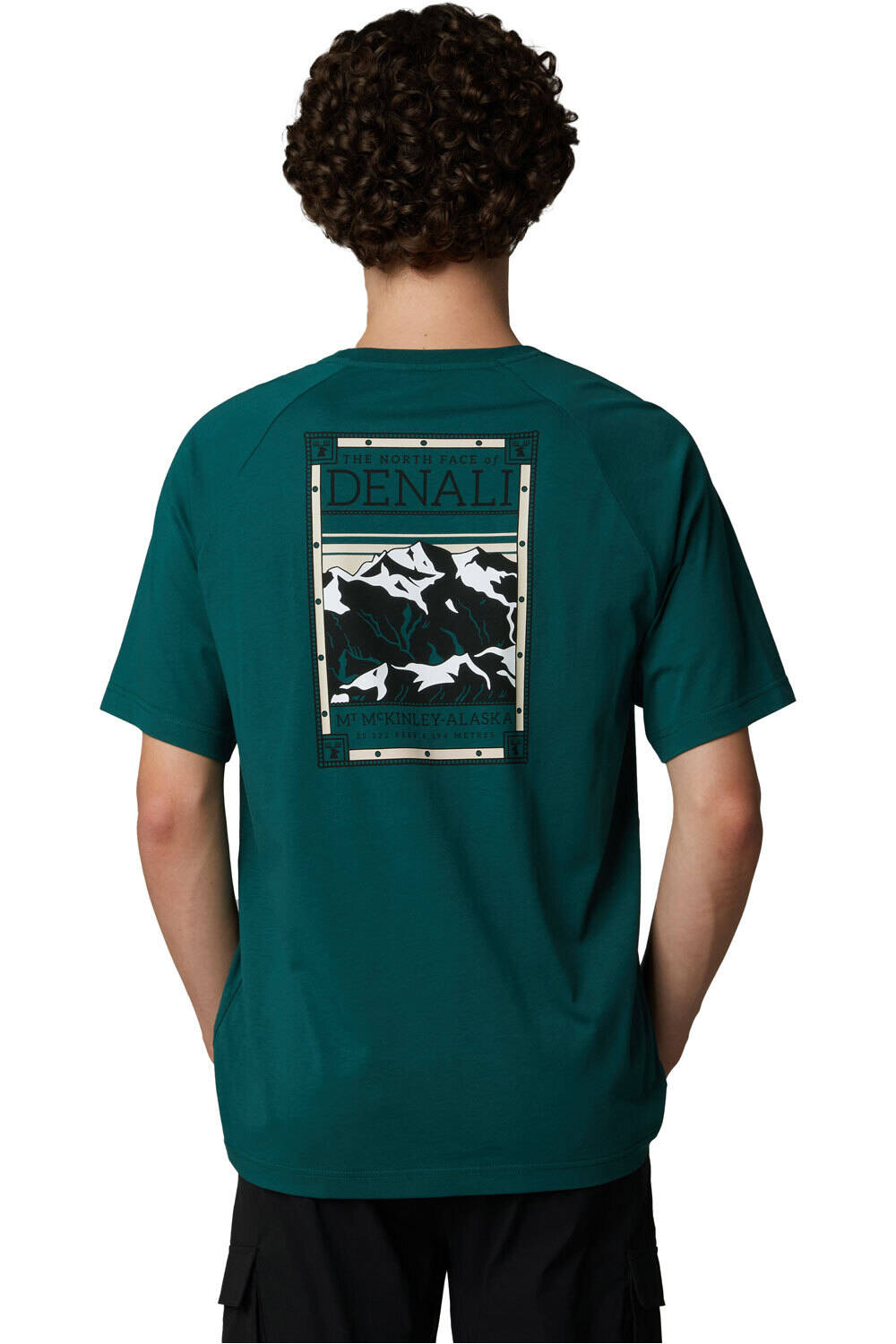 The North Face camiseta manga corta hombre M S/S NORTH FACES TEE vista trasera