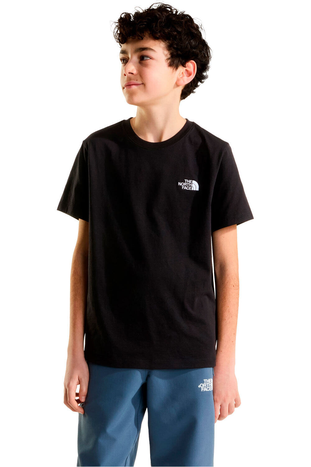 The North Face camiseta manga corta niño TEEN EVOLUTION SIMPLE DOME S/S TEE vista frontal