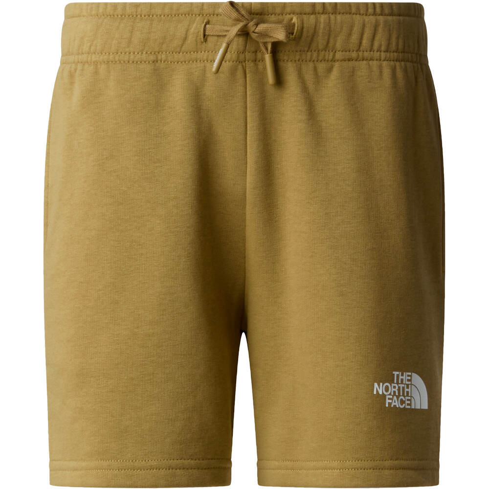 The North Face camiseta manga corta niño TEEN SIMPLE DOME LIGHT REG SHORT vista detalle