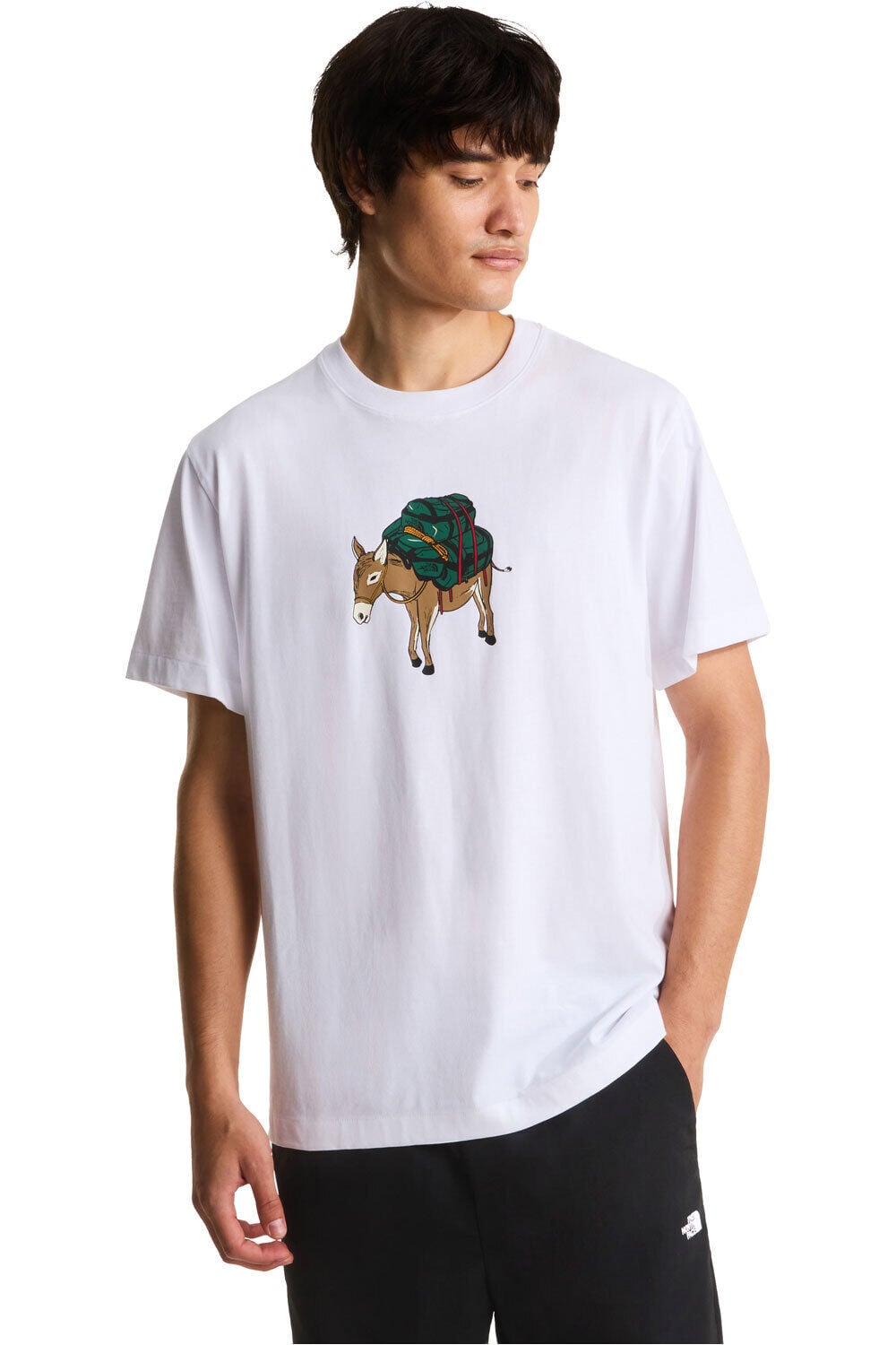 The North Face camiseta montaña manga corta hombre M DONKEY TAXI RELAXED SHORT SLEEVE TEE-G vista frontal