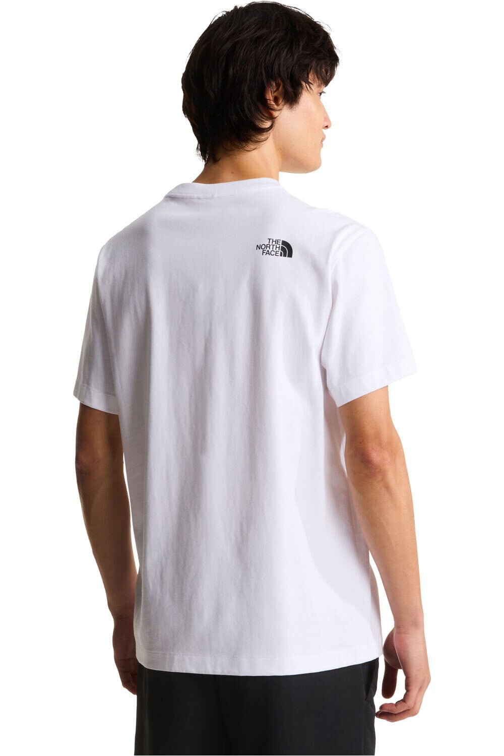 The North Face camiseta montaña manga corta hombre M DONKEY TAXI RELAXED SHORT SLEEVE TEE-G vista trasera