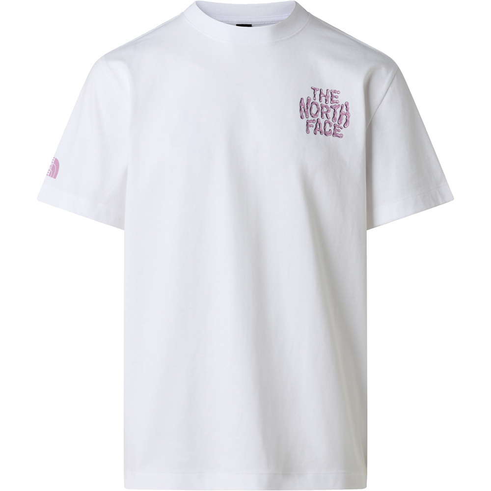 The North Face camiseta montaña manga corta hombre M DRIP LOGO RELAXED SHORT SLEEVE TEE-GRA vista detalle